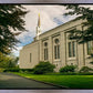 Boston Temple Trees Of Life Panoramic