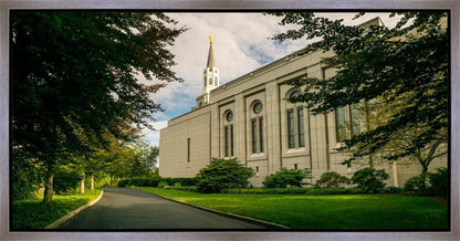 Boston Temple Trees Of Life Panoramic