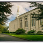 Boston Temple Trees Of Life Panoramic
