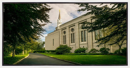 Boston Temple Trees Of Life Panoramic
