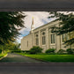 Boston Temple Trees Of Life Panoramic