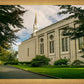 Boston Temple Trees Of Life Panoramic