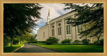 Boston Temple Trees Of Life Panoramic