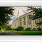 Boston Temple Trees Of Life Panoramic