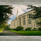 Boston Temple Trees Of Life Panoramic