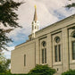 Boston Temple Trees Of Life Panoramic
