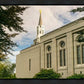 Boston Temple Trees Of Life Panoramic