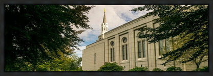 Boston Temple Trees Of Life Panoramic