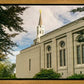 Boston Temple Trees Of Life Panoramic