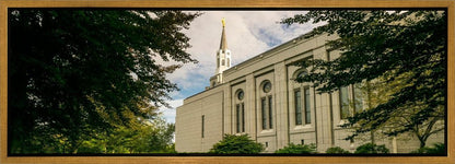 Boston Temple Trees Of Life Panoramic