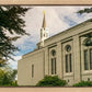 Boston Temple Trees Of Life Panoramic