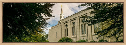 Boston Temple Trees Of Life Panoramic
