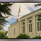 Boston Temple Trees Of Life Panoramic