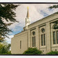 Boston Temple Trees Of Life Panoramic