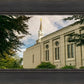 Boston Temple Trees Of Life Panoramic