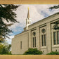 Boston Temple Trees Of Life Panoramic