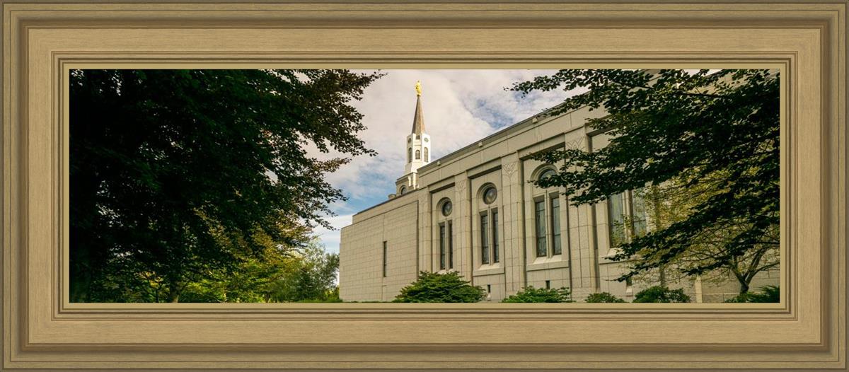 Boston Temple Trees Of Life Panoramic