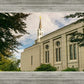 Boston Temple Trees Of Life Panoramic