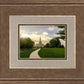 Boston Temple Summer Glow