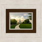 Boston Temple Summer Glow