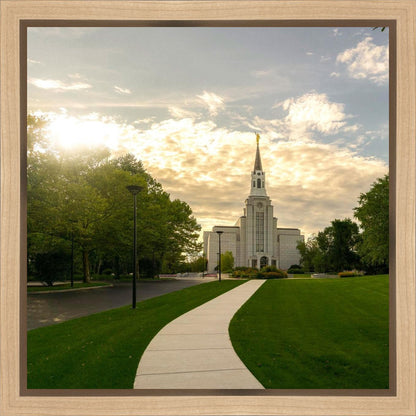 Boston Temple Summer Glow