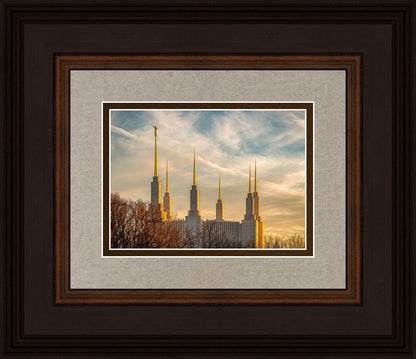 Golden Hour Washington DC Temple