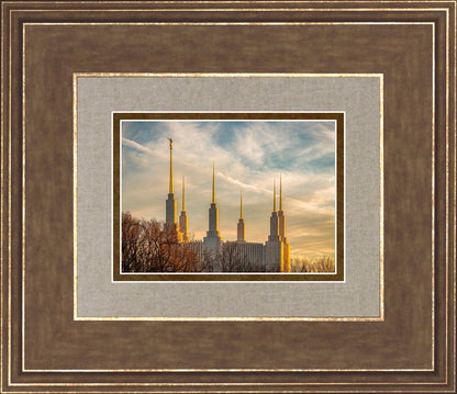 Golden Hour Washington DC Temple