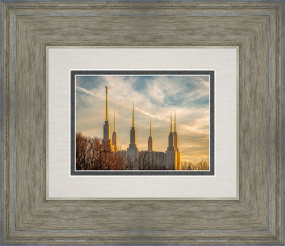 Golden Hour Washington DC Temple