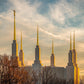 Golden Hour Washington DC Temple