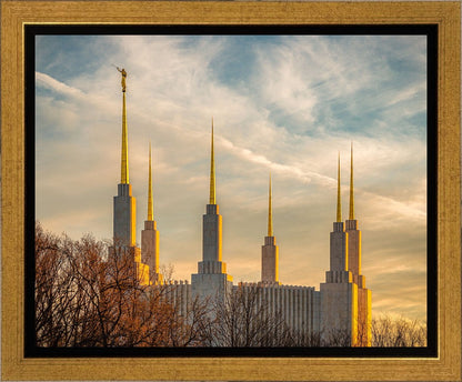 Golden Hour Washington DC Temple