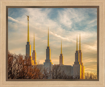 Golden Hour Washington DC Temple
