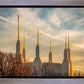 Golden Hour Washington DC Temple