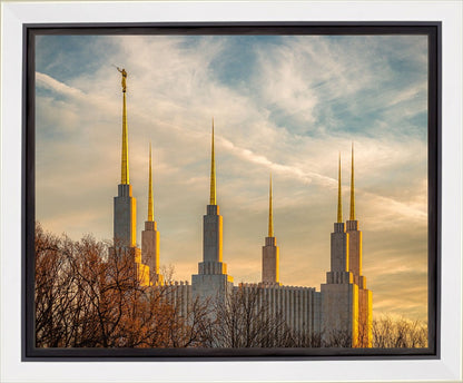 Golden Hour Washington DC Temple