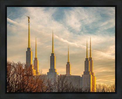 Golden Hour Washington DC Temple
