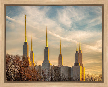 Golden Hour Washington DC Temple