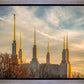 Golden Hour Washington DC Temple