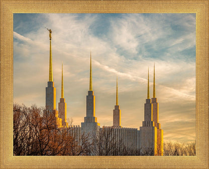 Golden Hour Washington DC Temple