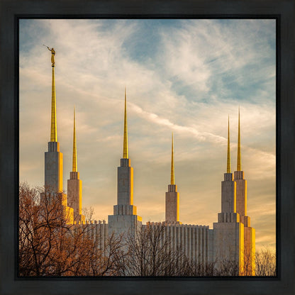 Golden Hour Washington DC Temple