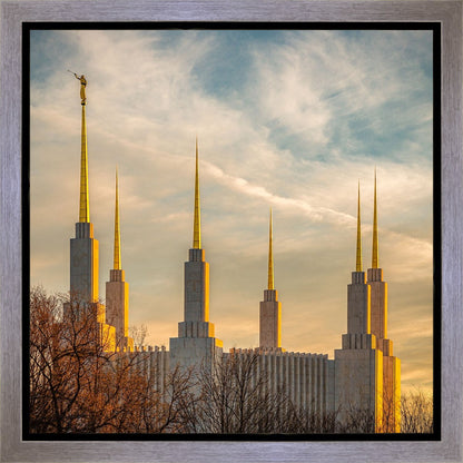 Golden Hour Washington DC Temple