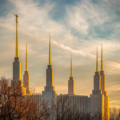 Golden Hour Washington DC Temple
