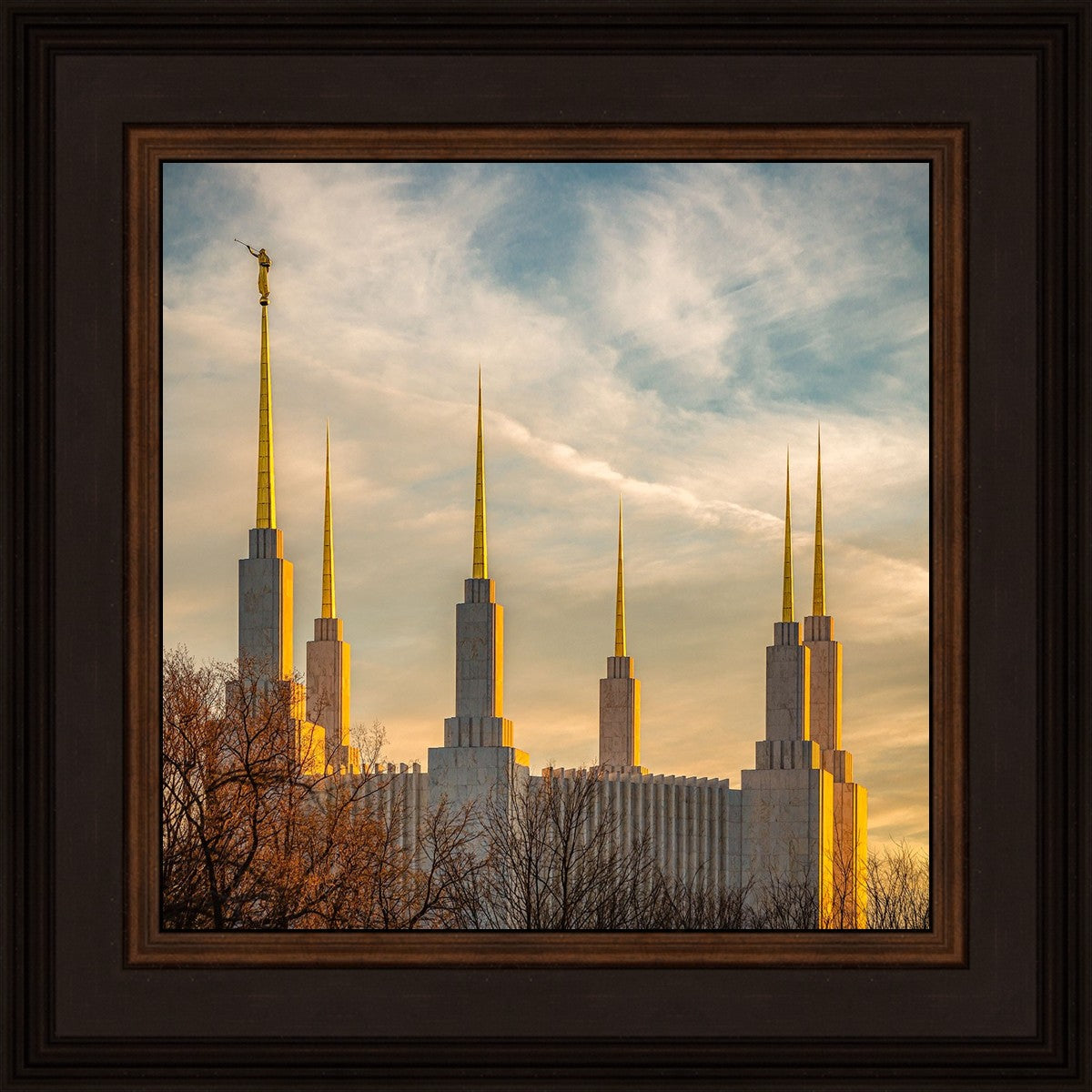 Golden Hour Washington DC Temple