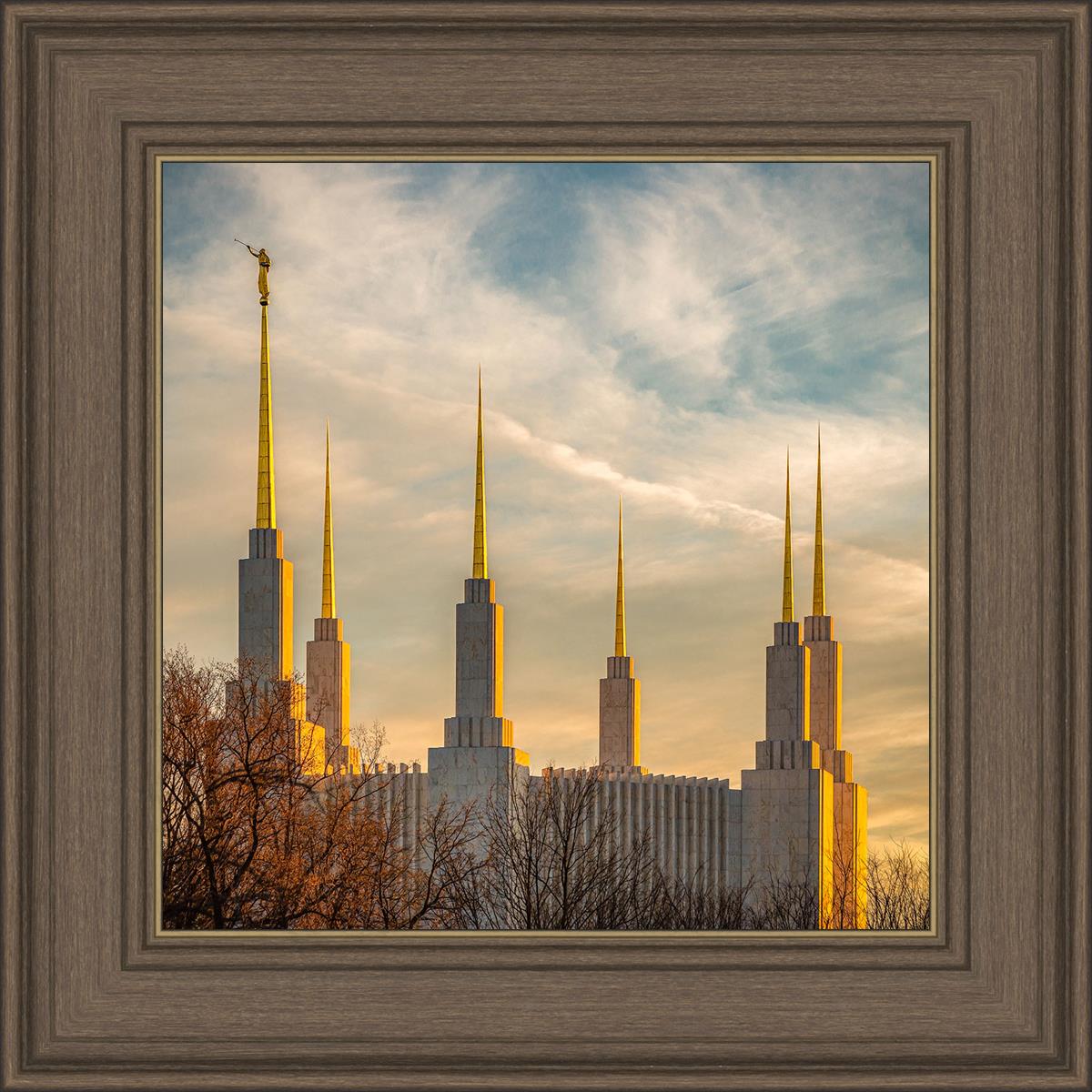 Golden Hour Washington DC Temple