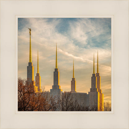 Golden Hour Washington DC Temple