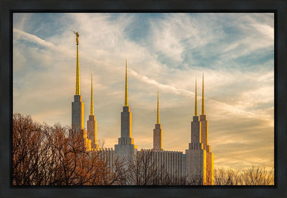 Golden Hour Washington DC Temple