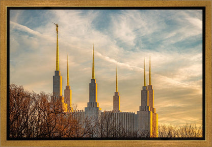 Golden Hour Washington DC Temple