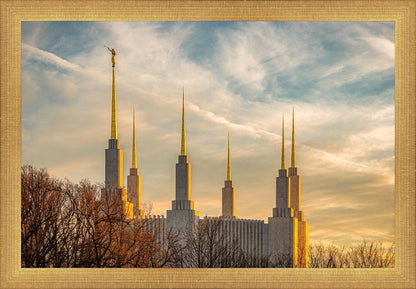 Golden Hour Washington DC Temple