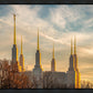 Golden Hour Washington DC Temple