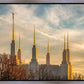 Golden Hour Washington DC Temple