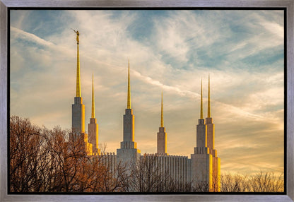 Golden Hour Washington DC Temple