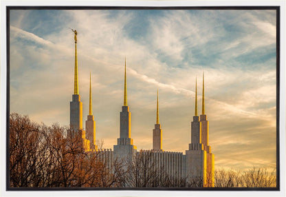 Golden Hour Washington DC Temple